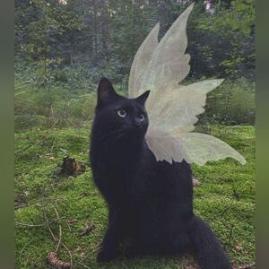 Meet your Posher, Mel